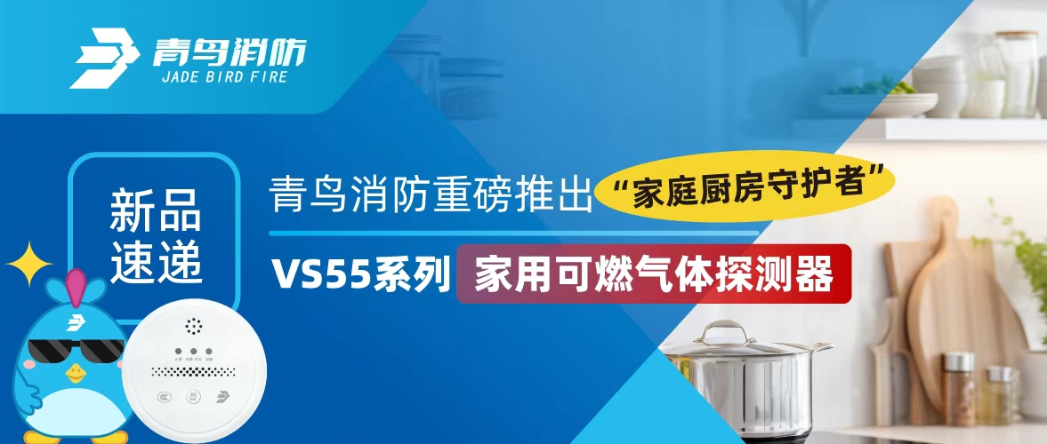 新品速递 | bevictor伟德沉磅推出&ldquo;家庭厨房守护者&rdquo;&mdash;&mdash;VS55系列家用可燃气体探测器